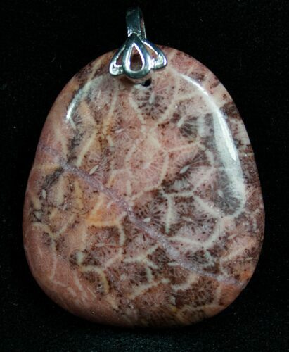 Red Fossil Coral Pendant - Million Years Old #7692